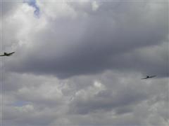 PICT1853.JPG